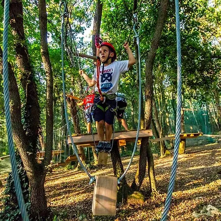 Tamara Apartamento Medulin