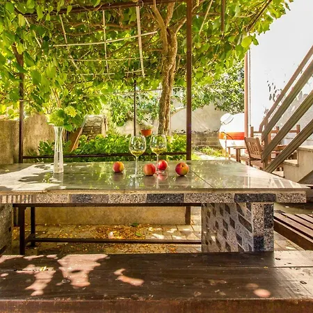 Tamara * Медулин