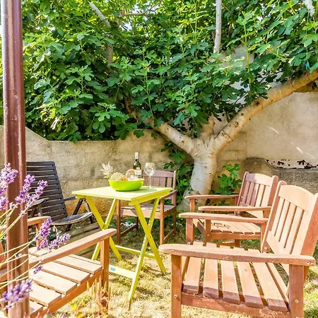 Tamara Медулин